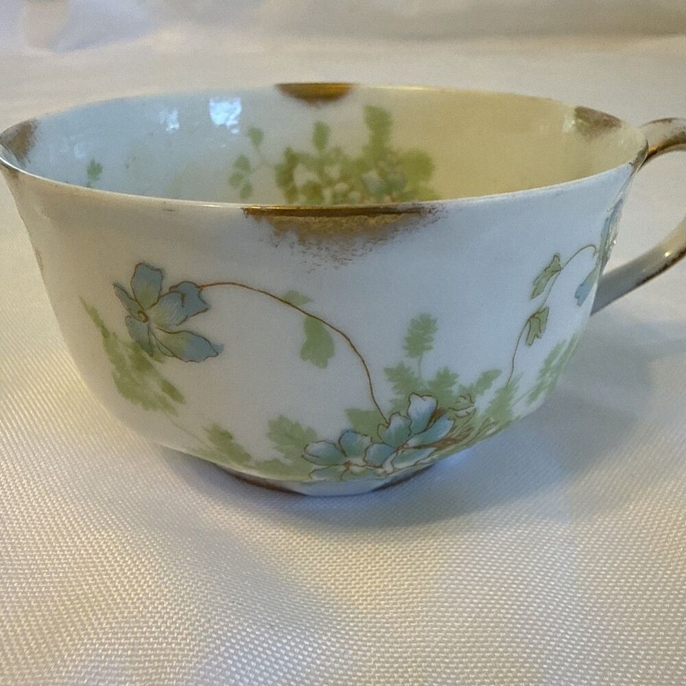 Haviland Schleiger 52 Cup Ferns, Blue Violets & Gold Daubs